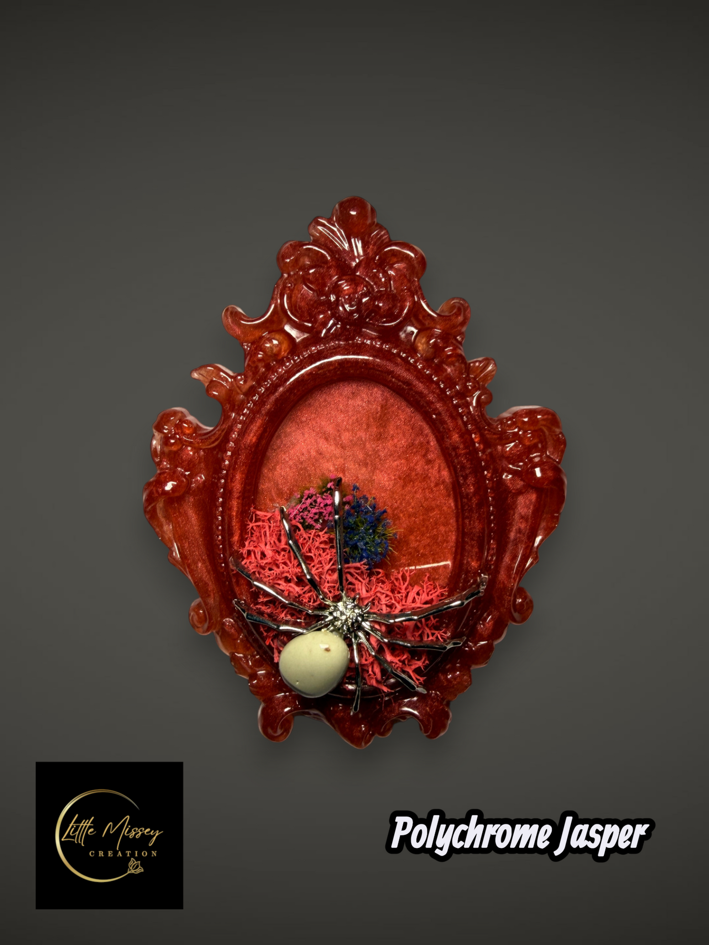 Enchanted Spider Frames