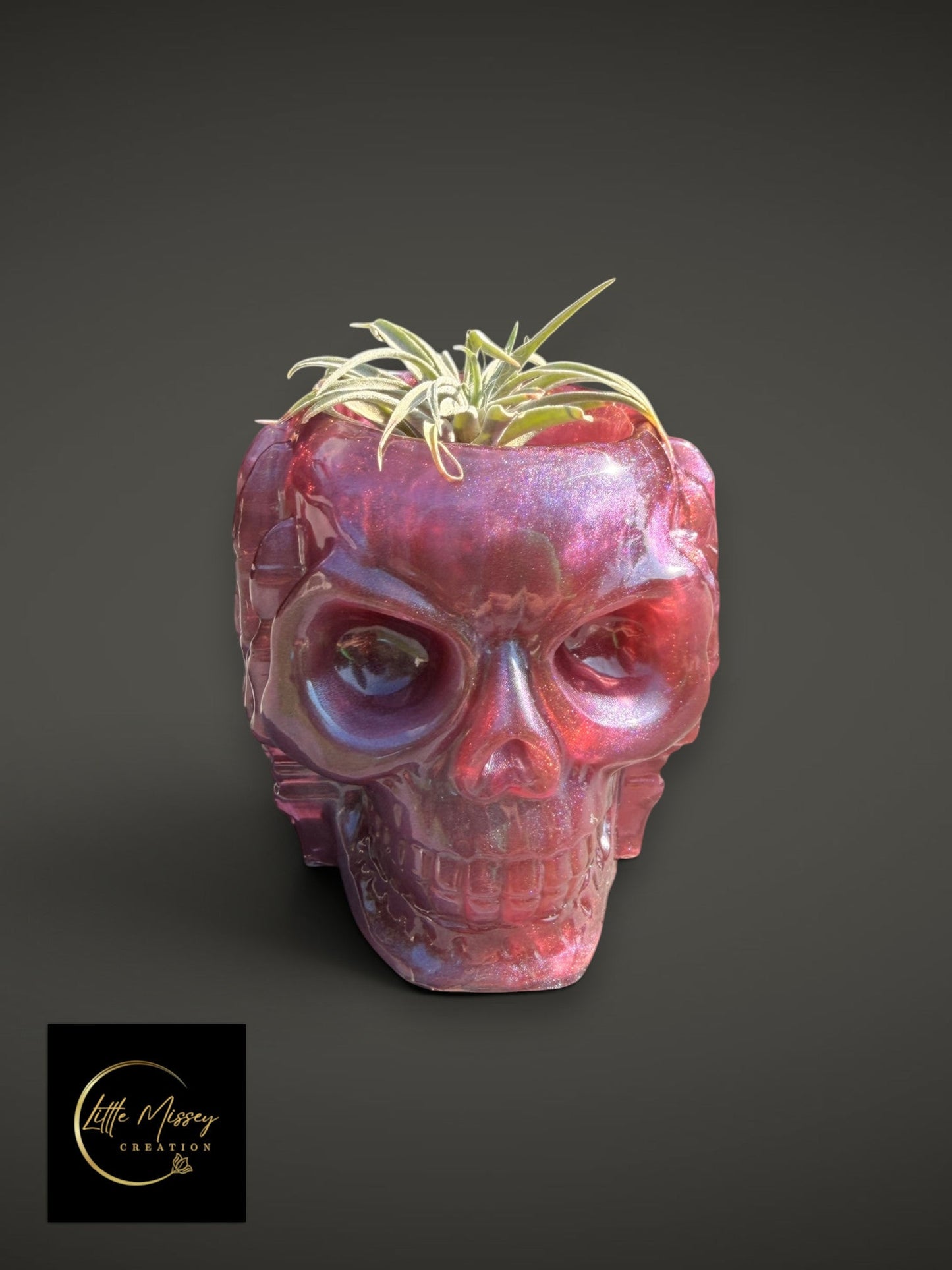 Little Missey Creation skull-shaped resin plant pot in a shimmering pink and purple glitter finish with an air plant.