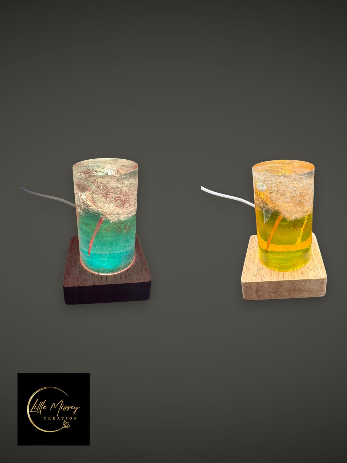 Little Missey Creation botanical resin LED night lights with dried dandelions on dark and light wooden bases