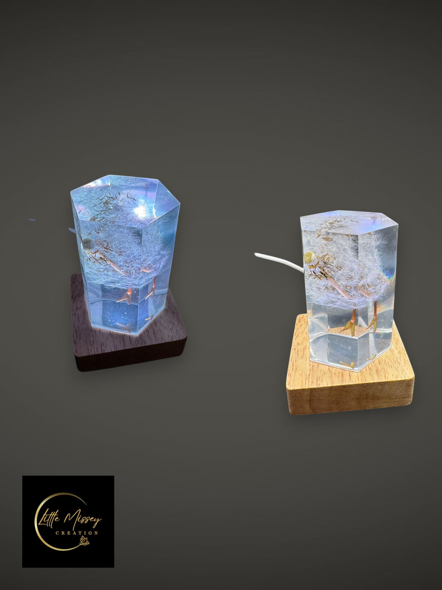 Little Missey Creation botanical resin LED night lights with dried dandelions on dark and light wooden bases.