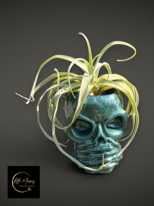 Little Missey Creation metallic green skull plant pot holding a spiky air plant against a dark grey background